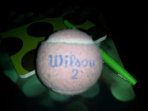 Wilson -- my idea generator